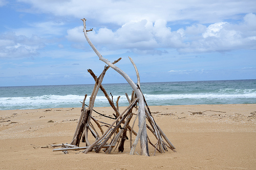 Lake Tyers Beach 18