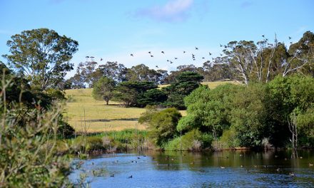 Nyerimilang Park & Homestead