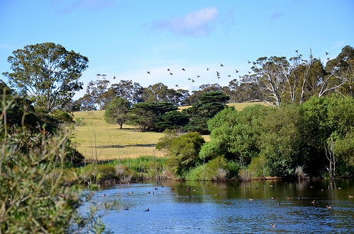 Nyerimilang Park & Homestead