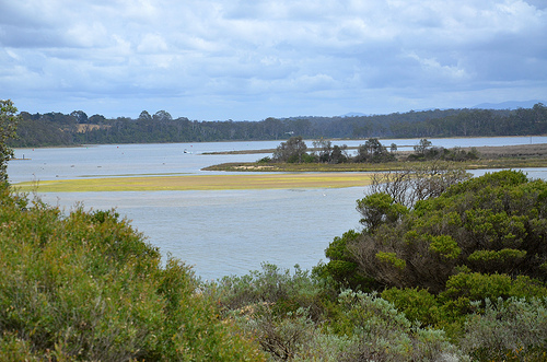 Lake Tyers Beach 34