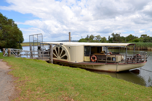 Paddle Steamer Curlip 01