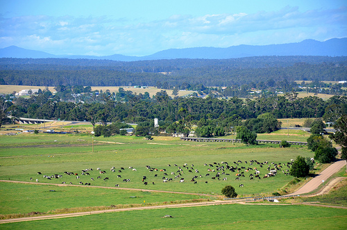 Orbost