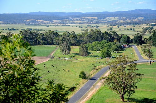 Newmerella Grandview Lookout 02