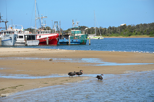 Beach on Esplanade 04