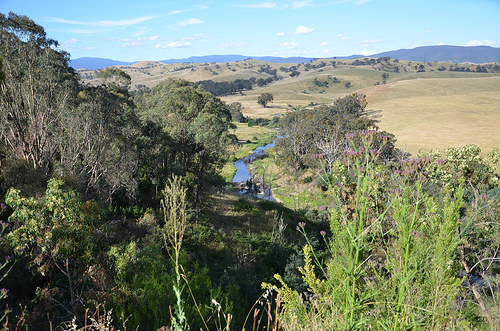 Great Alpine Road 16