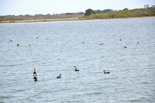 Gippsland Lakes 07