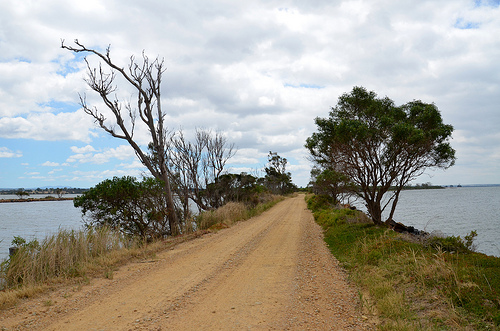 Silt Jetties 10