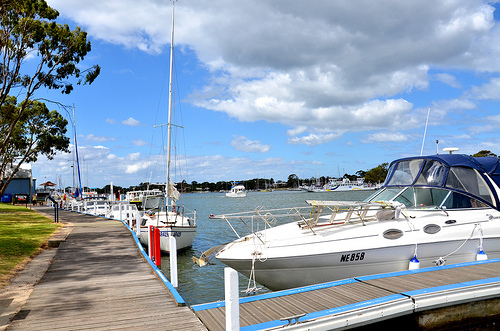 Grassy Point Marina 11