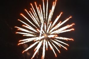 Firework 01