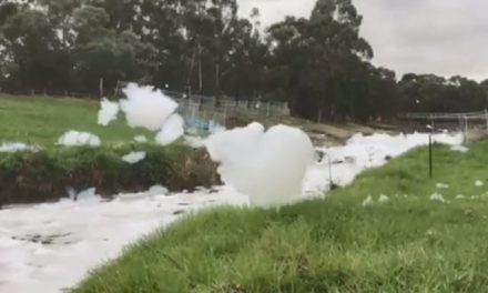 Dandenong Creek Pollution