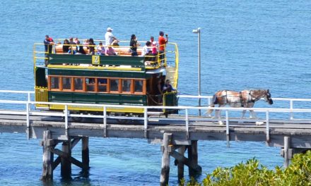 Repurposing Retired Trams