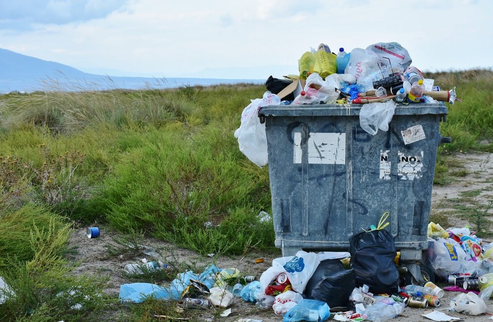 Plastic Bag Ban in Australia and Globally