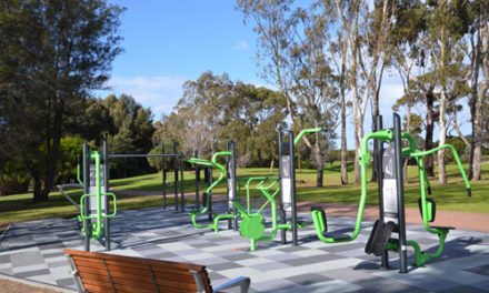 Cherry Lake Fitness Stations